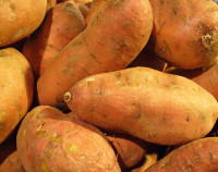 Photograph of Sweetpotatoes