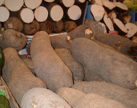 Photograph of Yams